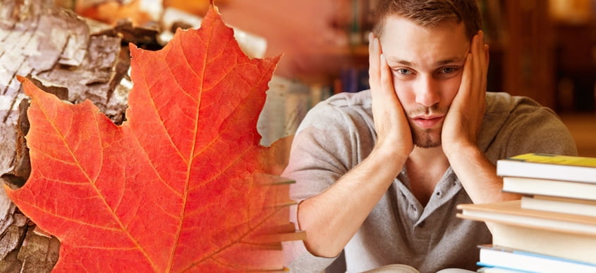 Why your Canada VISA got refused, and what you should do for success